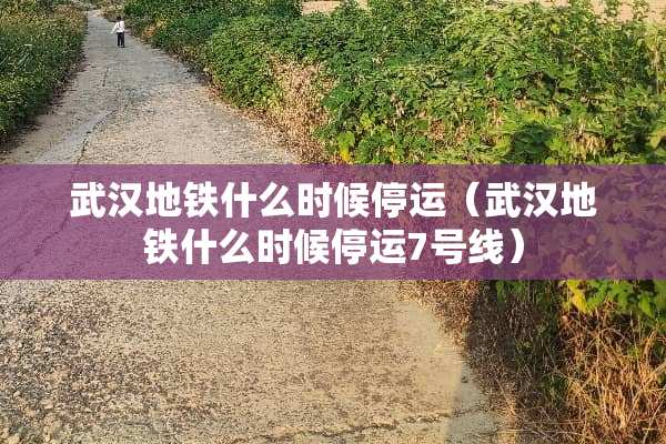 武汉地铁什么时候停运（武汉地铁什么时候停运7号线）
