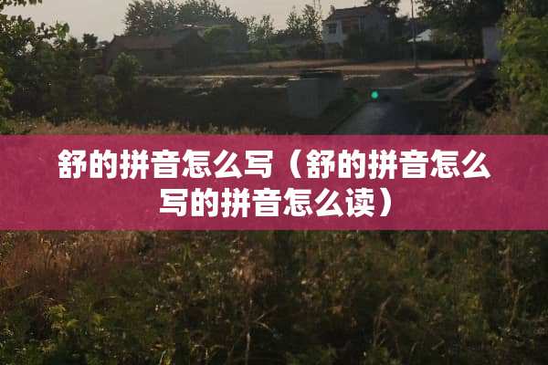 舒的拼音怎么写（舒的拼音怎么写的拼音怎么读）