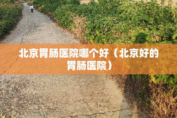 北京胃肠医院哪个好（北京好的胃肠医院）