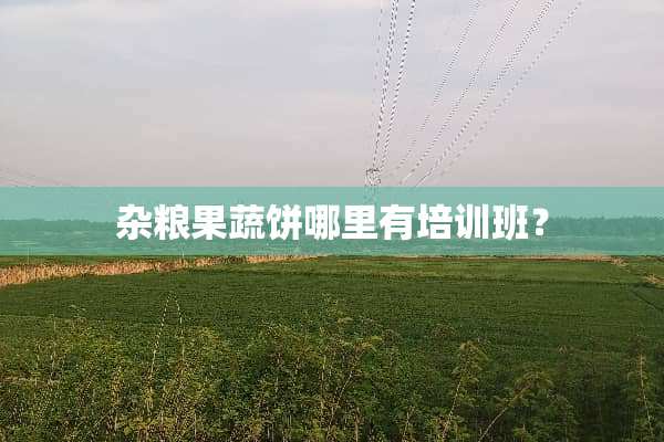 杂粮果蔬饼哪里有培训班？