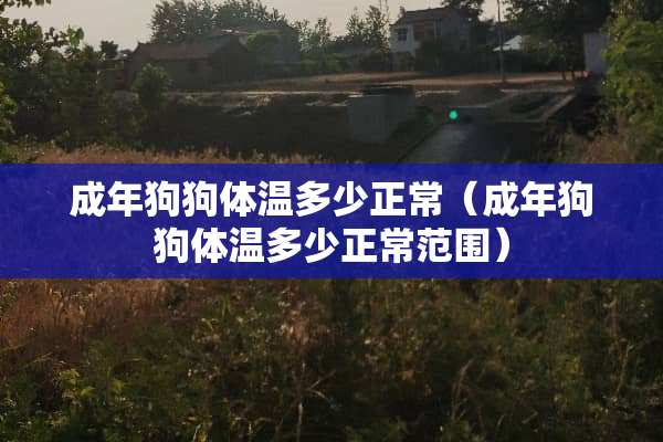 成年狗狗体温多少正常（成年狗狗体温多少正常范围）