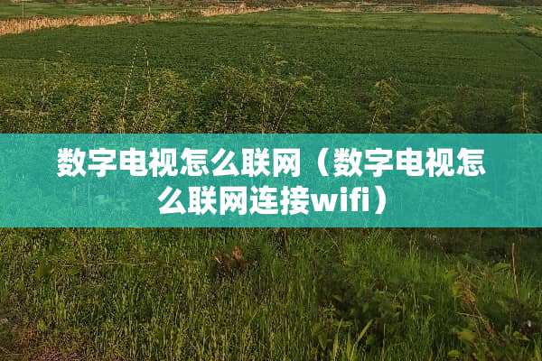 数字电视怎么联网（数字电视怎么联网连接wifi）
