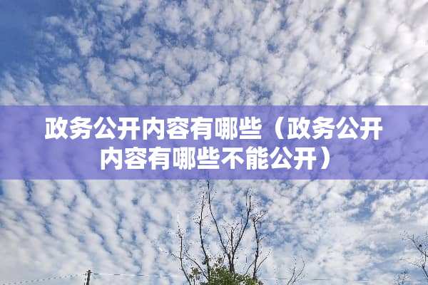 政务公开内容有哪些（政务公开内容有哪些不能公开）