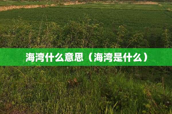海湾什么意思（海湾是什么）