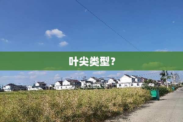 叶尖类型？