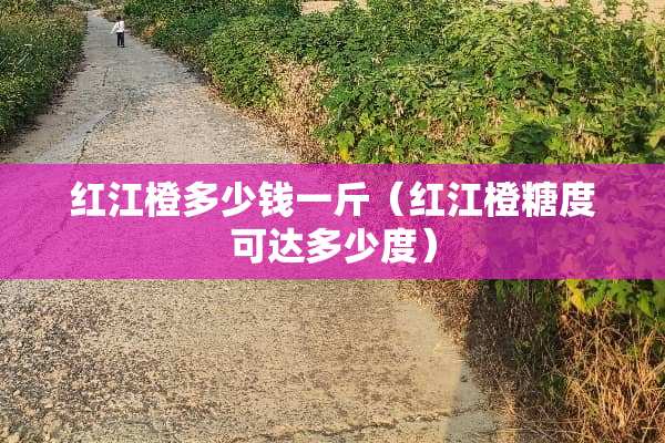 红江橙多少钱一斤（红江橙糖度可达多少度）