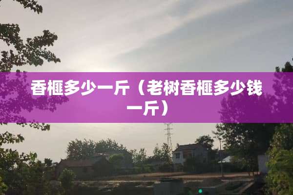 香榧多少一斤（老树香榧多少钱一斤）
