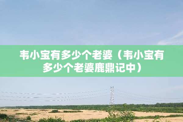 ***有多少个老婆（***有多少个老婆鹿鼎记中）