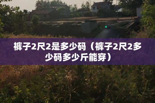 裤子2尺2是多少码（裤子2尺2多少码多少斤能穿）