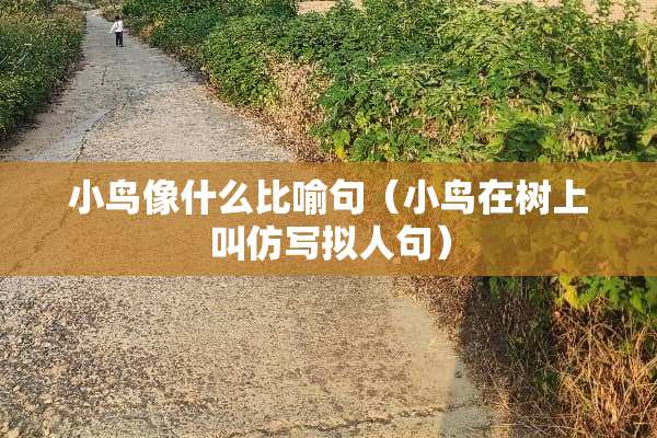 小鸟像什么比喻句（小鸟在树上叫仿写拟人句）