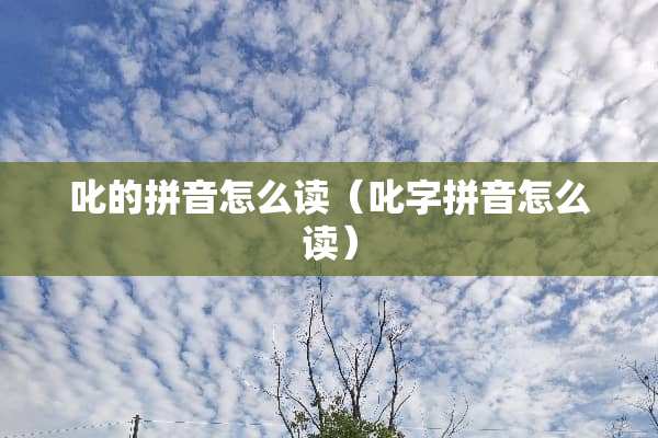 叱的拼音怎么读（叱字拼音怎么读）