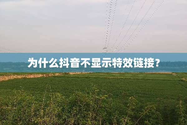 为什么抖音不显示特效链接？