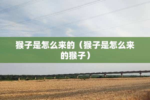 猴子是怎么来的（猴子是怎么来的猴子）