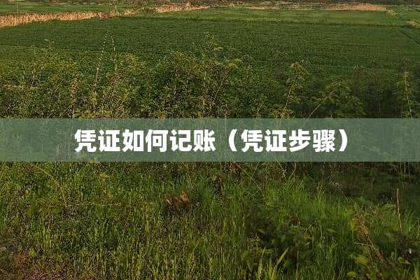 凭证如何记账（凭证步骤）
