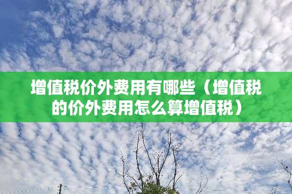 ***价外费用有哪些（***的价外费用怎么算***）