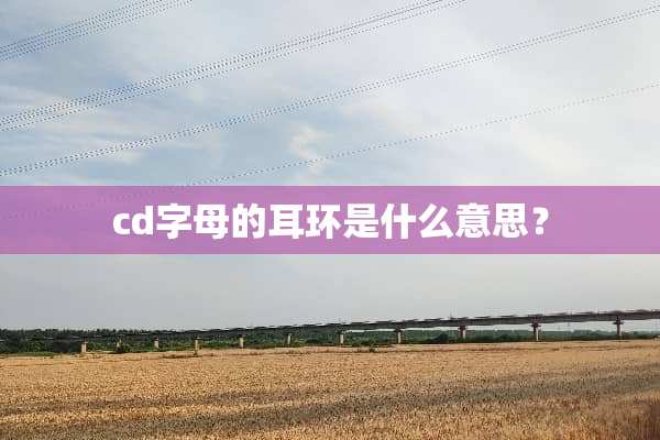 cd字母的耳环是什么意思？