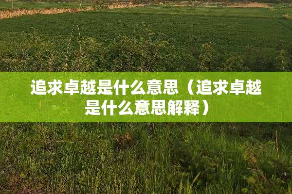 追求卓越是什么意思（追求卓越是什么意思解释）