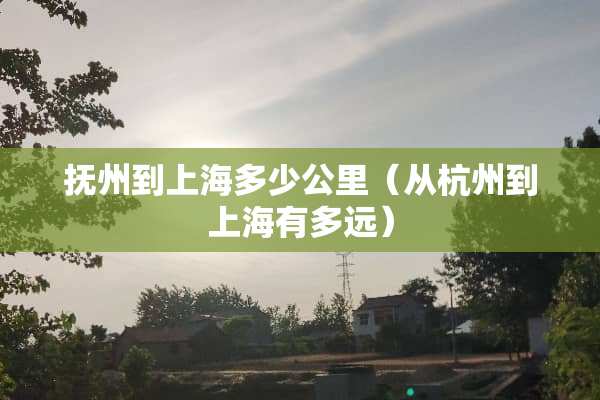 抚州到上海多少公里（从杭州到上海有多远）