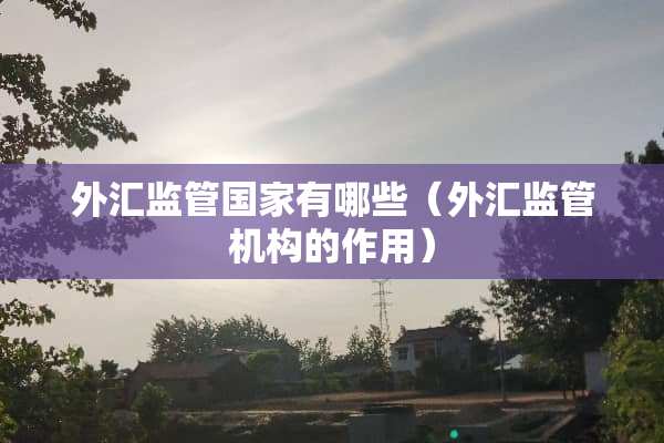 外汇监管国家有哪些（外汇监管机构的作用）
