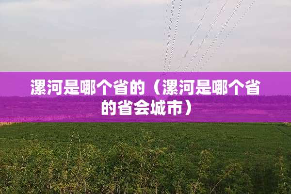 漯河是哪个省的（漯河是哪个省的省会城市）