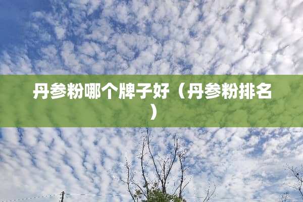 丹参粉哪个牌子好（丹参粉排名）