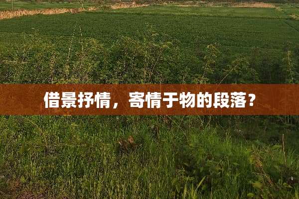 借景抒情，寄情于物的段落？