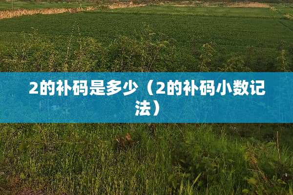 2的补码是多少（2的补码小数记法）