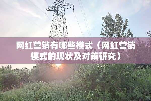 网红营销有哪些模式（网红营销模式的现状及对策研究）