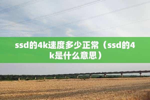 ssd的4k速度多少正常（ssd的4k是什么意思）