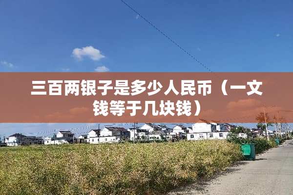 三百两银子是多少人民币（一文钱等于几块钱）