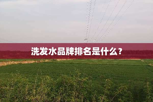 洗发水品牌排名是什么？