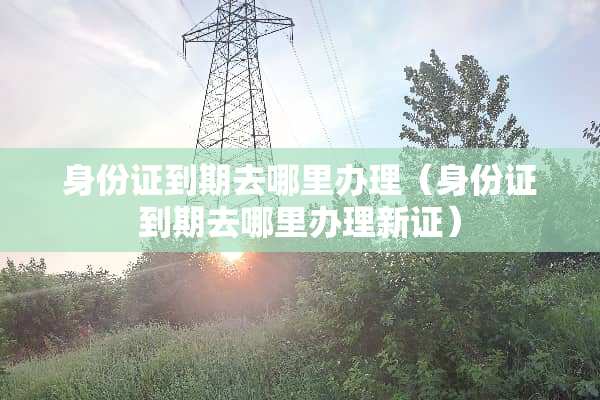 ***到期去哪里办理（***到期去哪里办理新证）