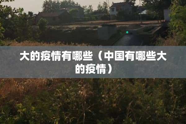 大的疫情有哪些（中国有哪些大的疫情）