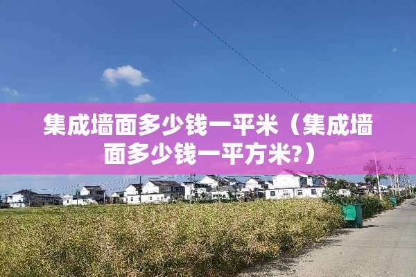 集成墙面多少钱一平米（集成墙面多少钱一平方米?）