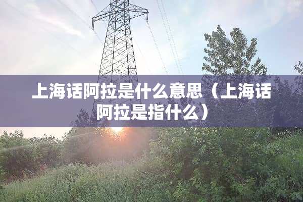 上海话阿拉是什么意思（上海话阿拉是指什么）