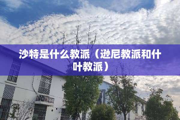 沙特是什么教派（逊尼教派和什叶教派）