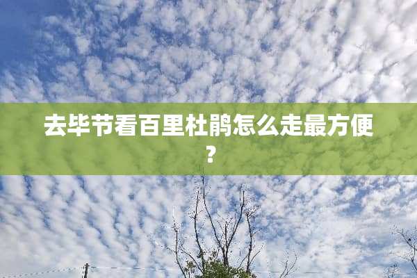 去毕节看百里杜鹃怎么走最方便？
