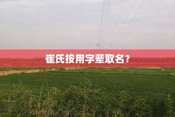 崔氏按用字辈取名？