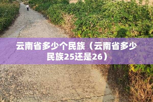 云南省多少个民族（云南省多少民族25还是26）