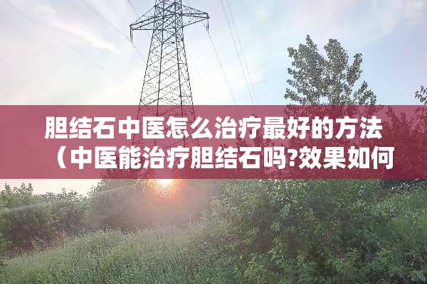 胆结石中医怎么治疗最好的方法（中医能治疗胆结石吗?效果如何）