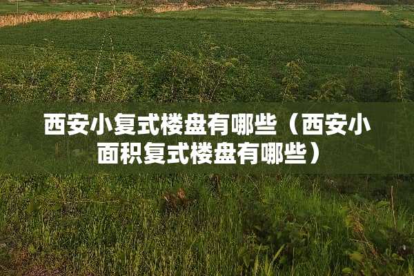 西安小复式楼盘有哪些（西安小面积复式楼盘有哪些）
