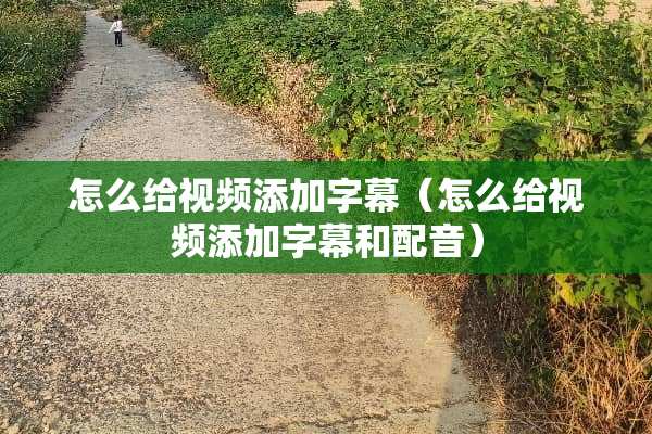 怎么给视频添加字幕（怎么给视频添加字幕和配音）