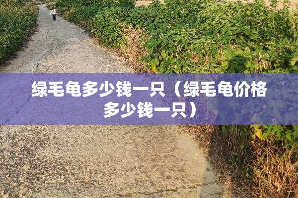 绿毛龟多少钱一只（绿毛龟价格多少钱一只）