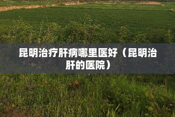 昆明治疗肝病哪里医好（昆明治肝的医院）