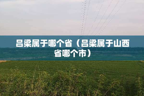 吕梁属于哪个省（吕梁属于山西省哪个市）