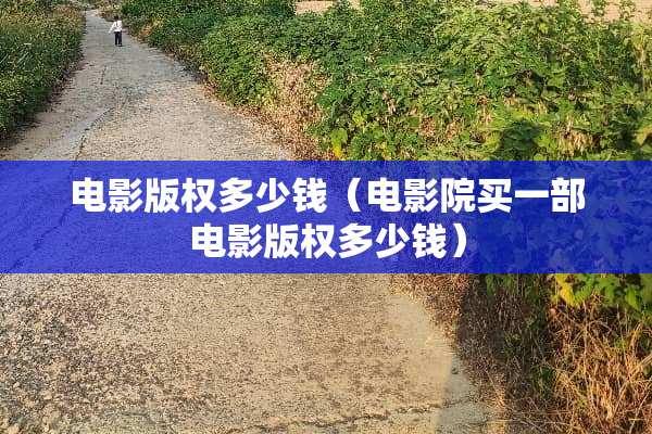 电影版权多少钱（电影院买一部电影版权多少钱）