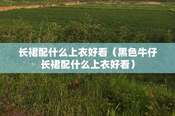 长裙配什么上衣好看（黑色牛仔长裙配什么上衣好看）