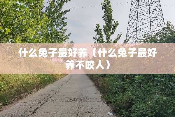 什么兔子最好养（什么兔子最好养不咬人）