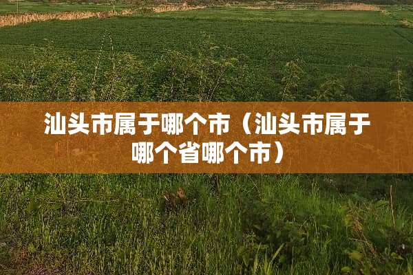 汕头市属于哪个市（汕头市属于哪个省哪个市）