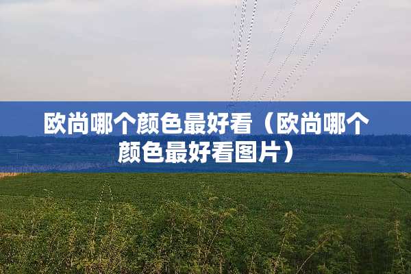 欧尚哪个颜色最好看（欧尚哪个颜色最好看图片）